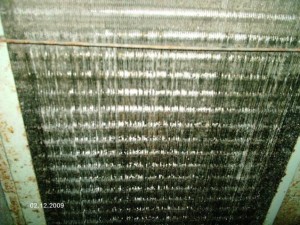 Evaporator coil before cleaning
